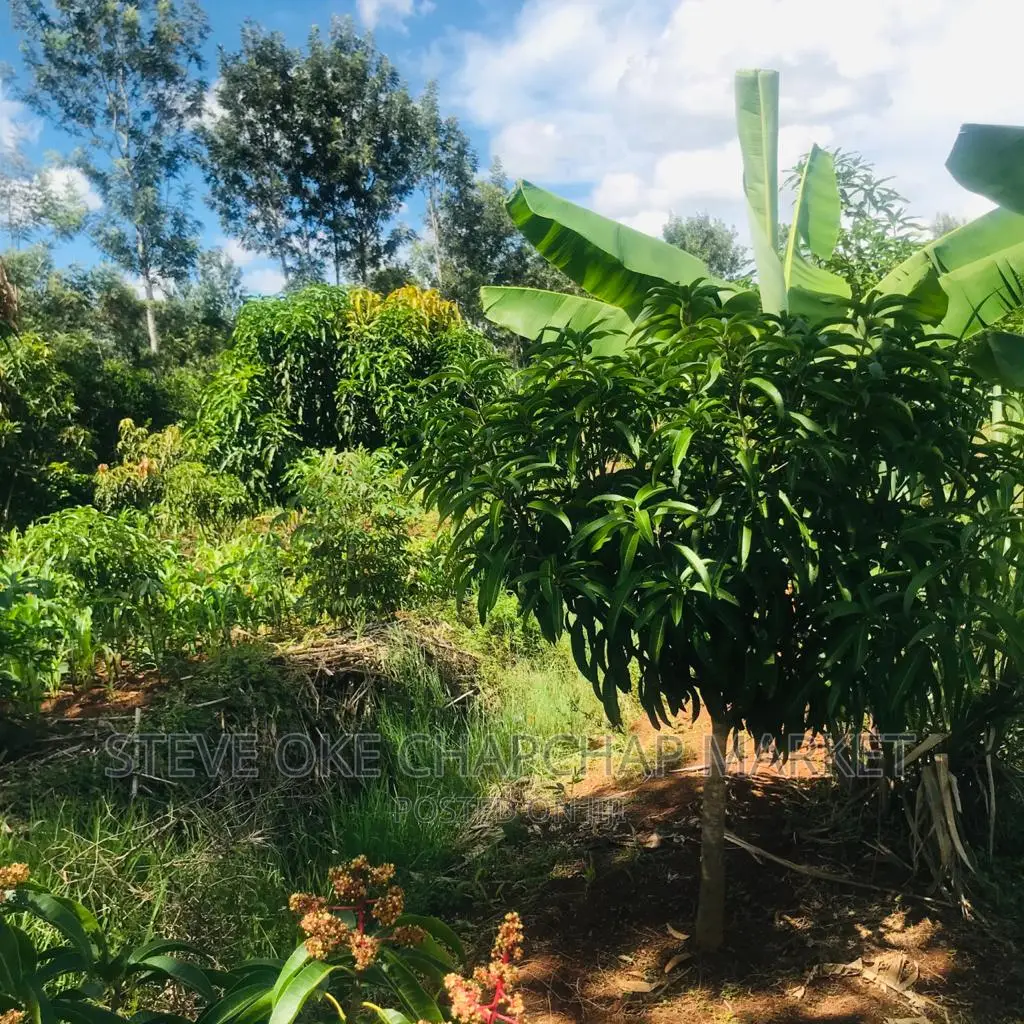 1 One Acre With a 3 Bedroom House Ready Clean Title Deed