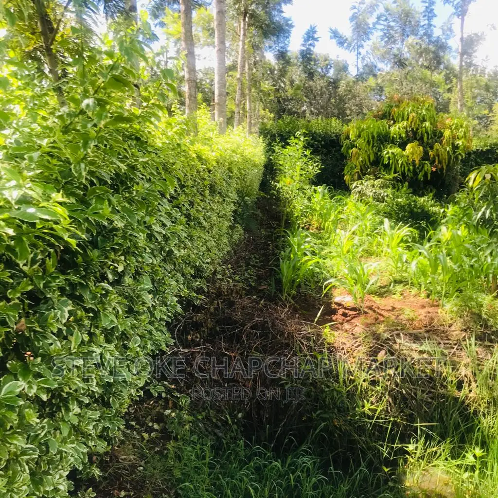 1 One Acre With a 3 Bedroom House Ready Clean Title Deed