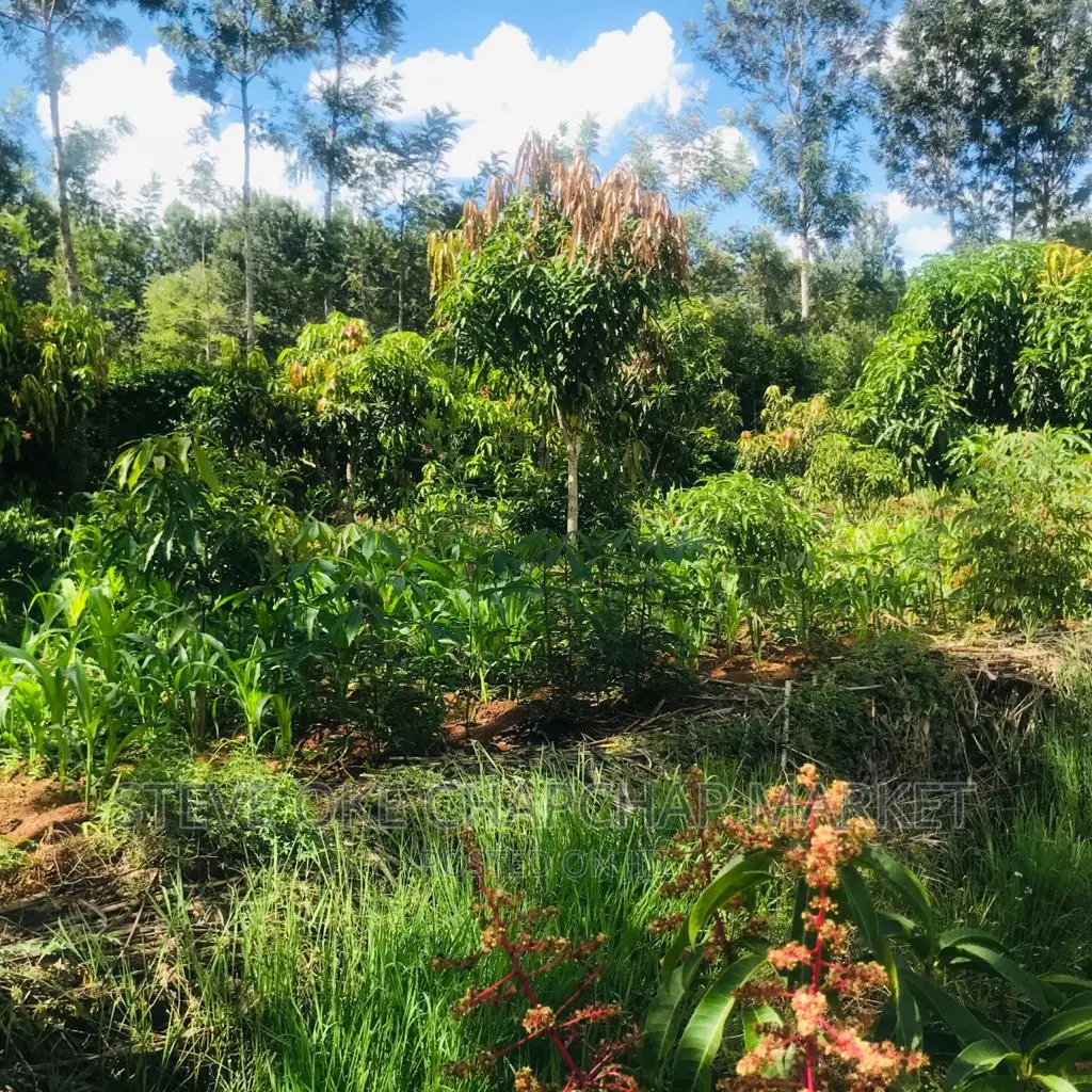 1 One Acre With a 3 Bedroom House Ready Clean Title Deed