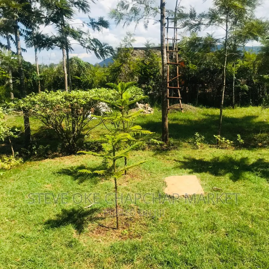 1 One Acre With a 3 Bedroom House Ready Clean Title Deed