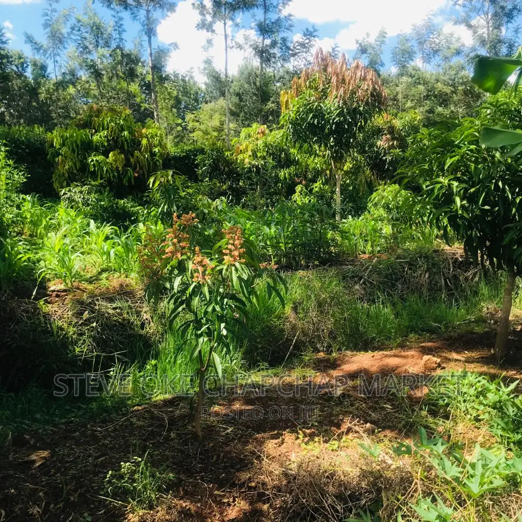 1 One Acre With a 3 Bedroom House Ready Clean Title Deed