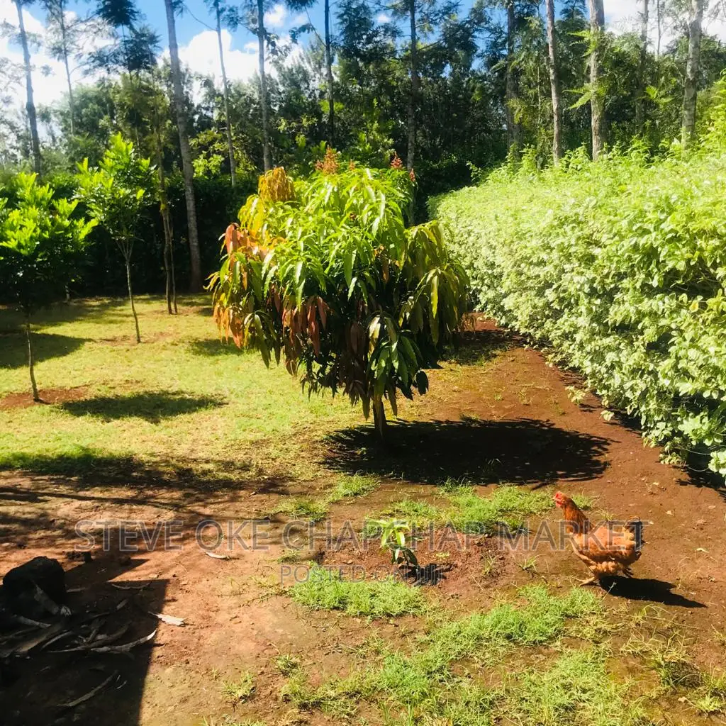 1 One Acre With a 3 Bedroom House Ready Clean Title Deed