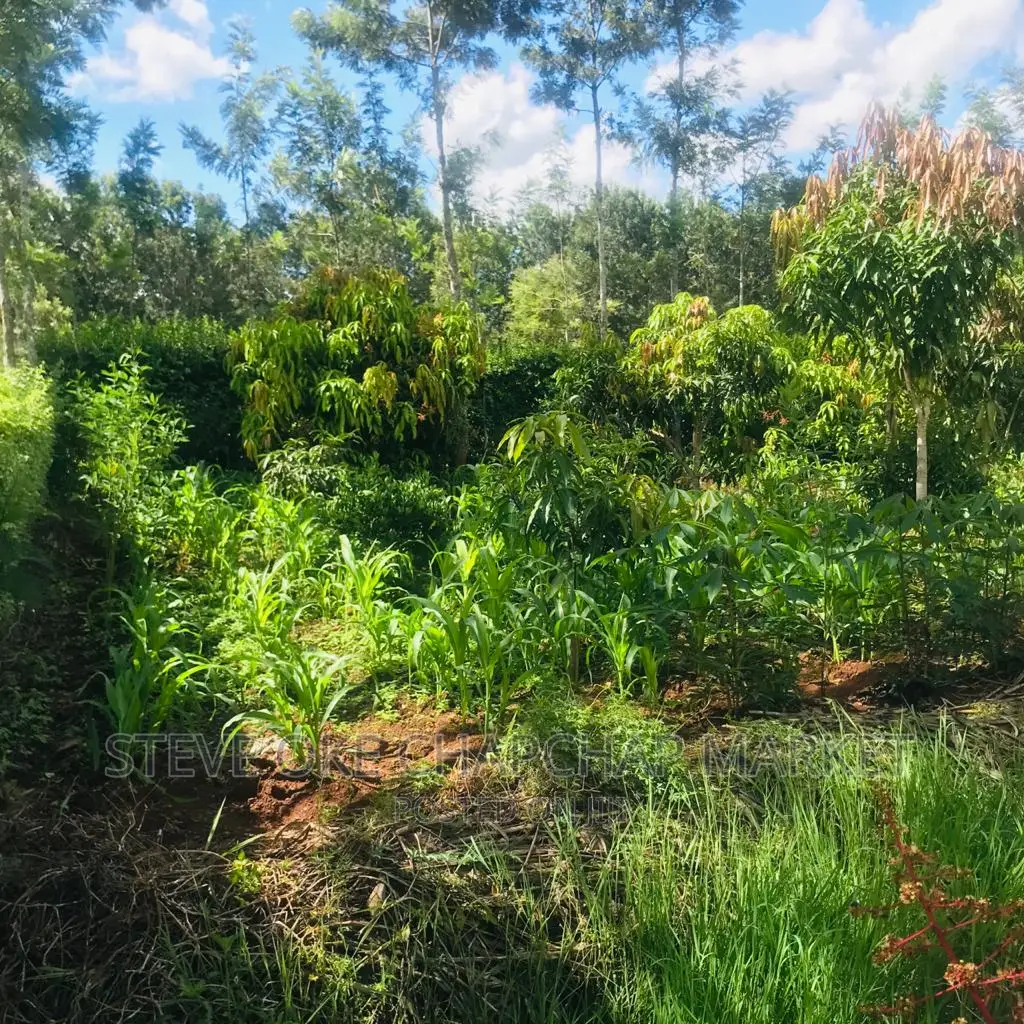 1 One Acre With a 3 Bedroom House Ready Clean Title Deed