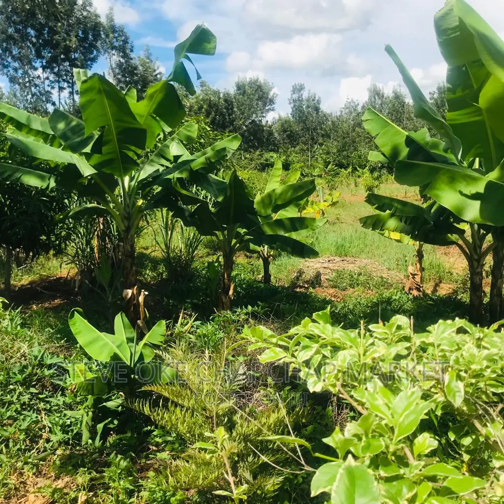 1 One Acre With a 3 Bedroom House Ready Clean Title Deed
