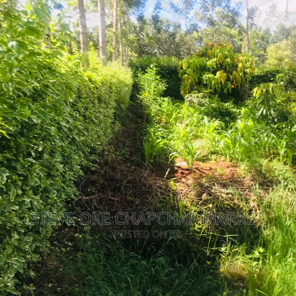 1 One Acre With a 3 Bedroom House Ready Clean Title Deed