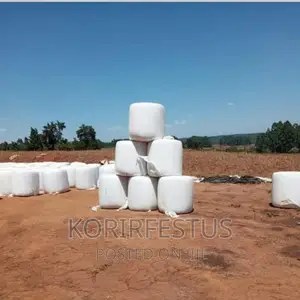 Full Corn Maize Silage