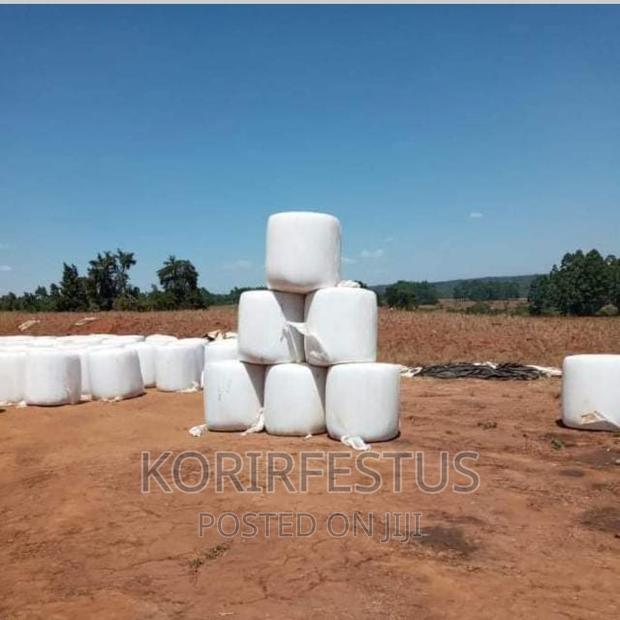 Full Corn Maize Silage - thumbnail 2