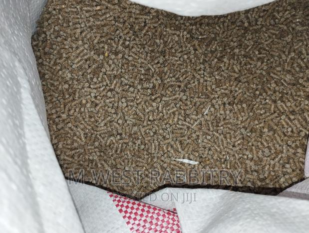 M-West Rabbitry - thumbnail 6