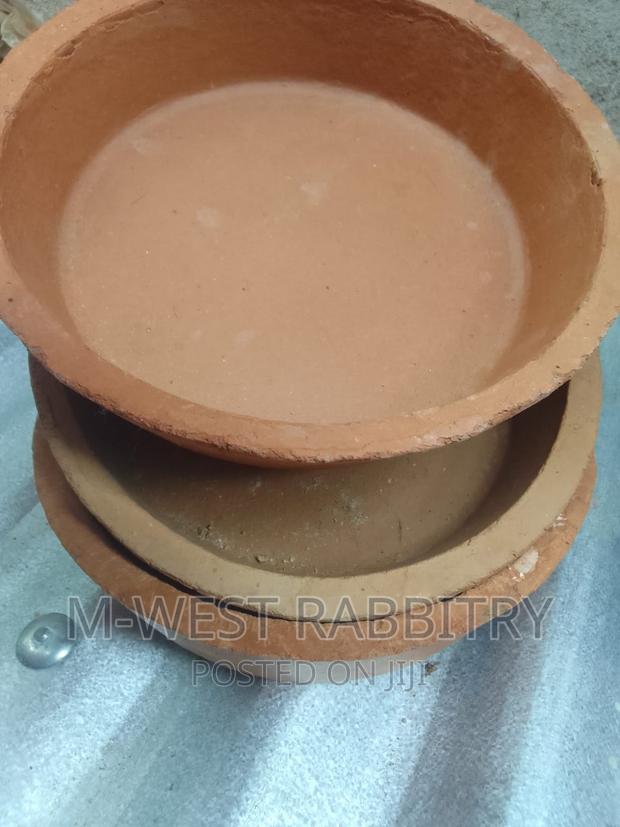 M-West Rabbitry - thumbnail 7