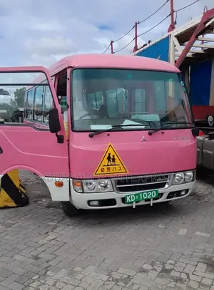 Mitsubishi Fuso Rosa 2016 Pink