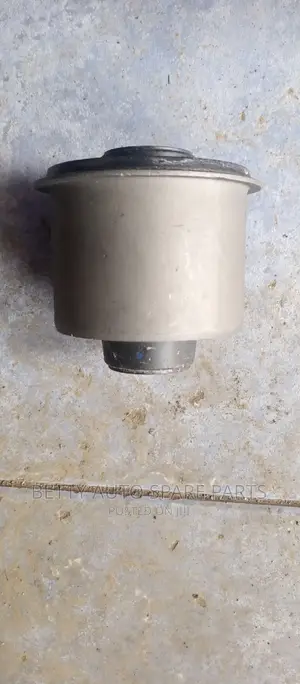 Toyota Filder Exhaust Bush