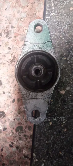 Toyota Fielder Shock Mountain