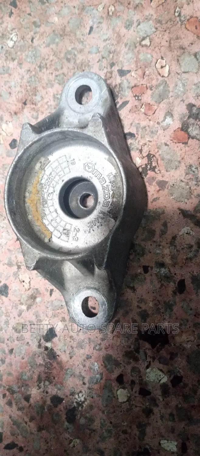 Toyota Fielder Shock Mountain