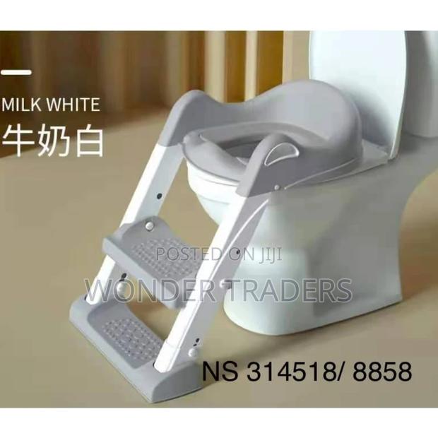 Toilet Ladder Toilet Ladder - main view