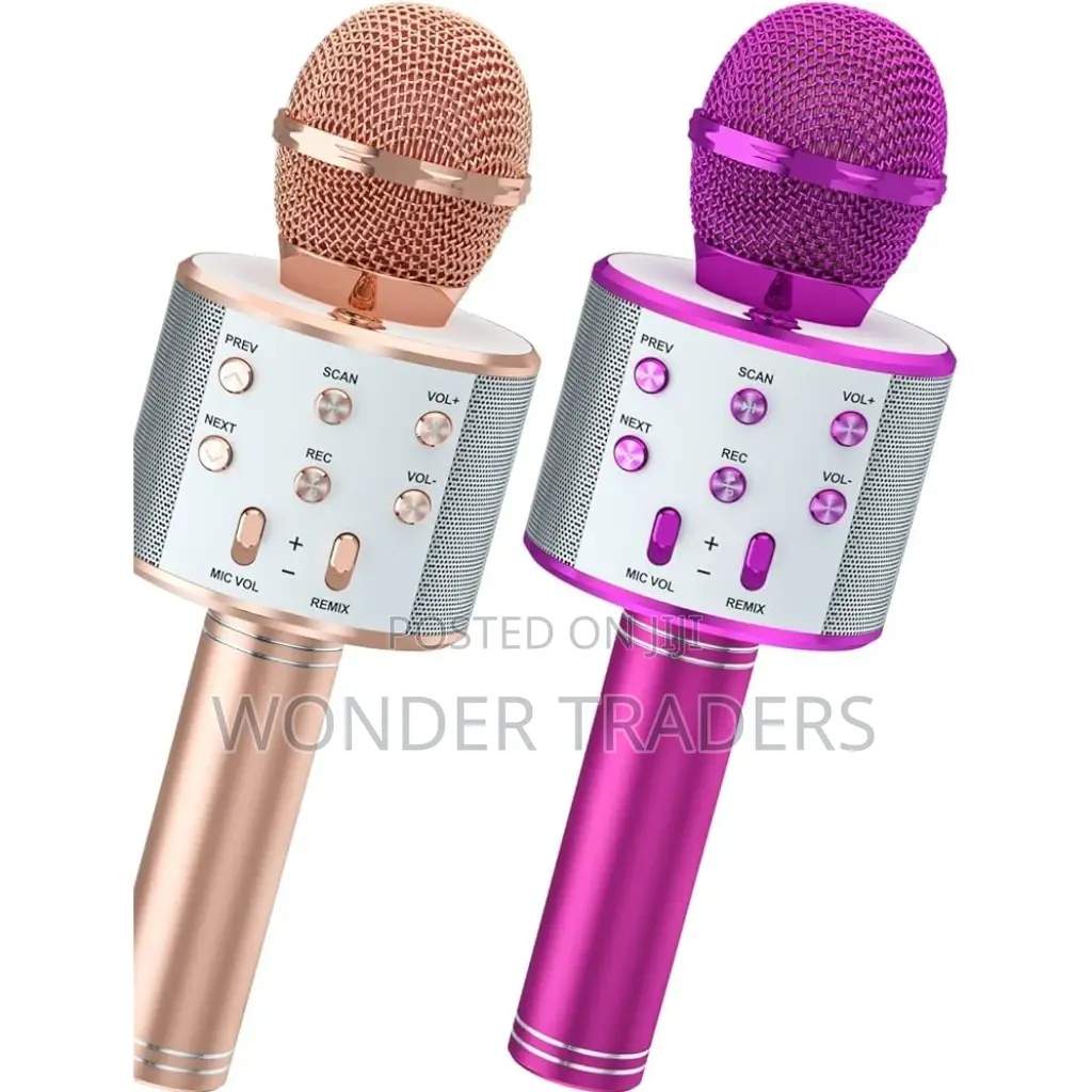 Microphone Microphone Kid Microphone