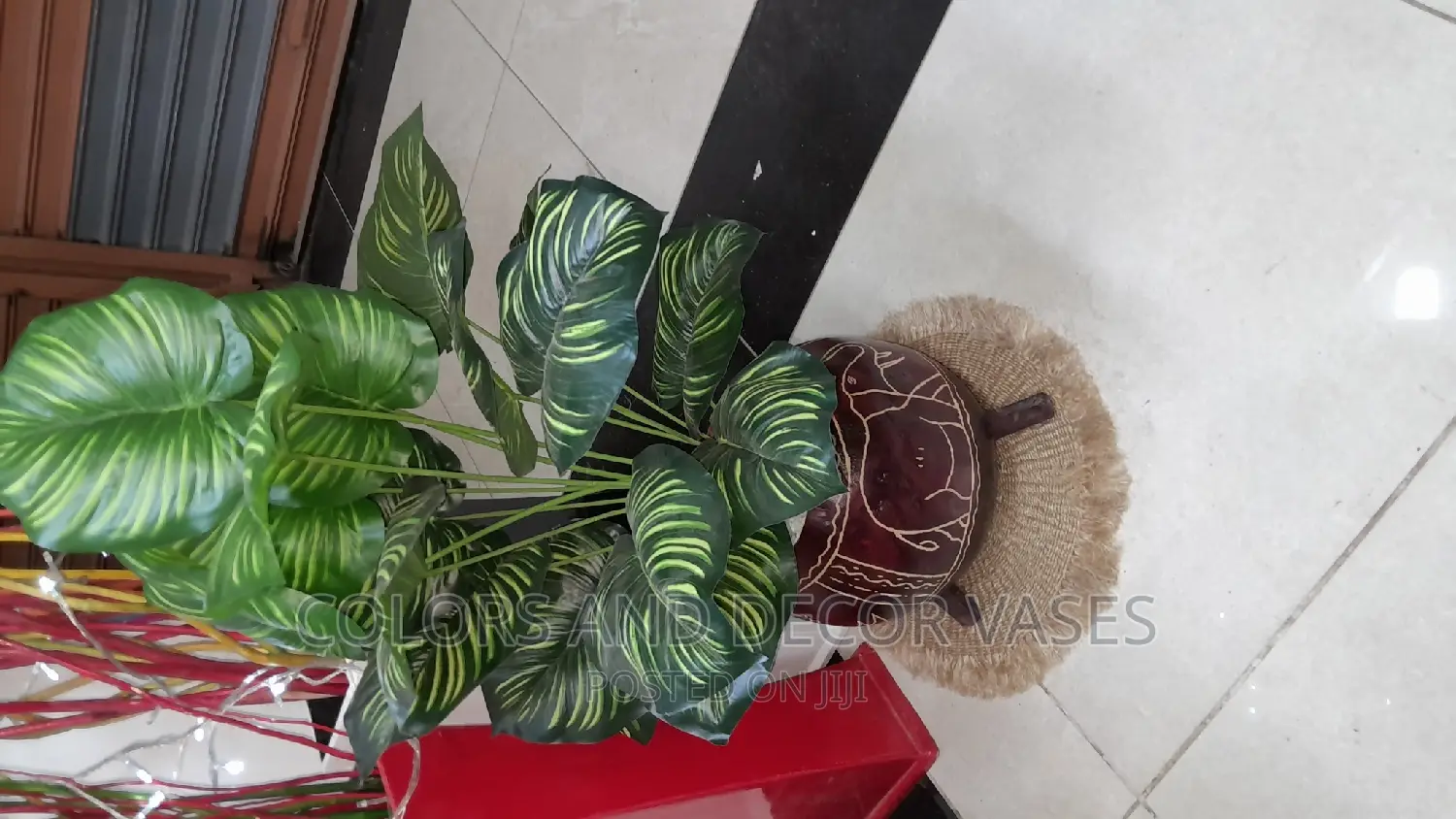 Calabash, Plant and Pebbles