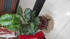 Calabash, Plant and Pebbles - thumbnail 2