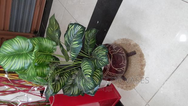 Calabash, Plant and Pebbles - main view