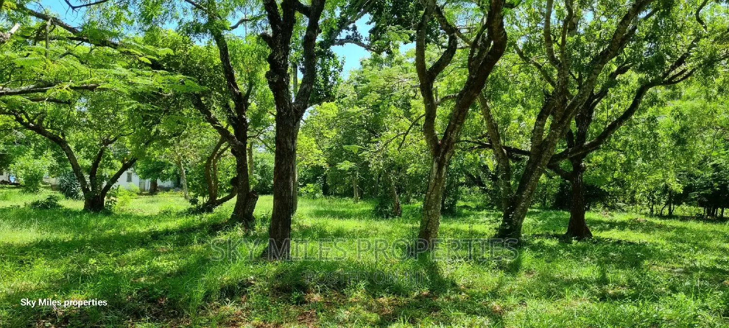 Serena,2.5 Acre Beach Plot on Sale