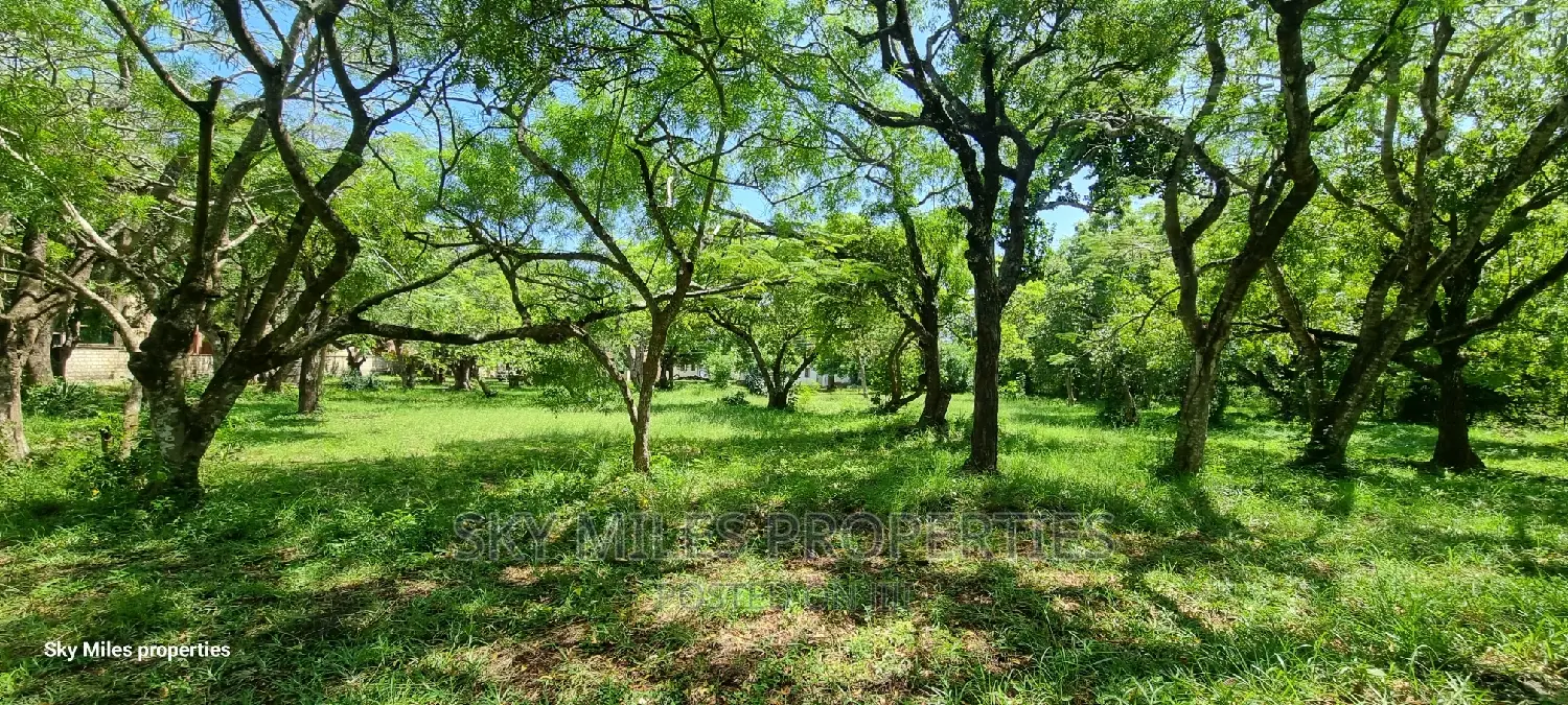 Serena,2.5 Acre Beach Plot on Sale