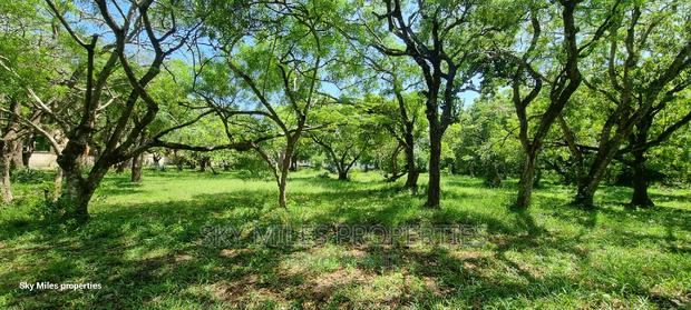 Serena,2.5 Acre Beach Plot on Sale - thumbnail 13