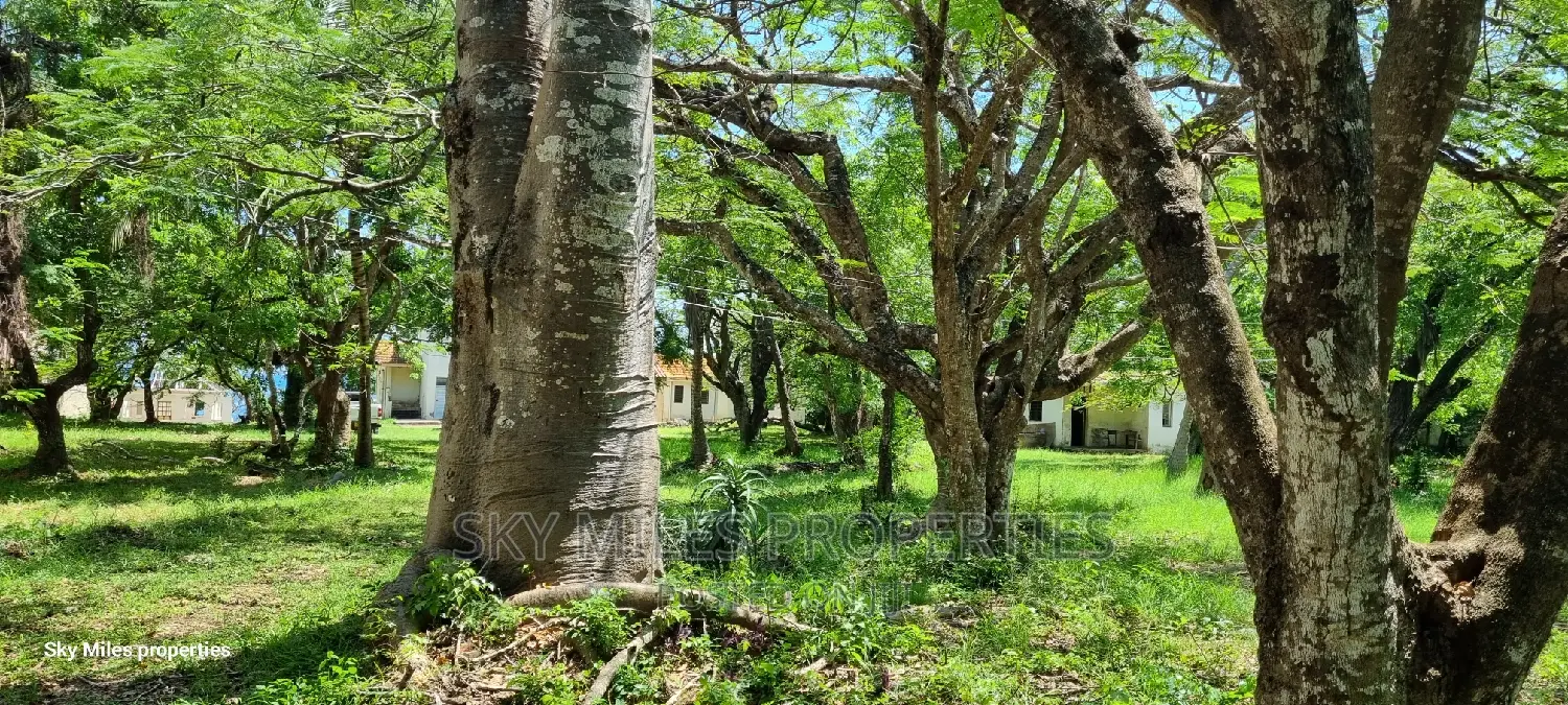 Serena,2.5 Acre Beach Plot on Sale