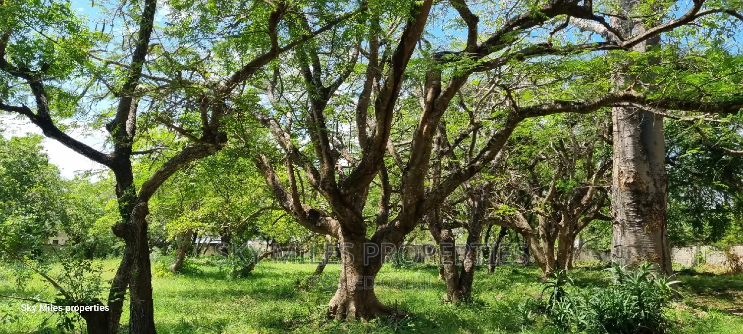 Serena,2.5 Acre Beach Plot on Sale