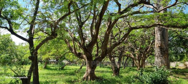 Serena,2.5 Acre Beach Plot on Sale - thumbnail 19