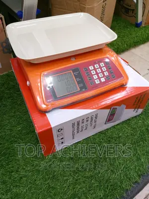 Quality Bakery/Kitchen Scale 40kgs