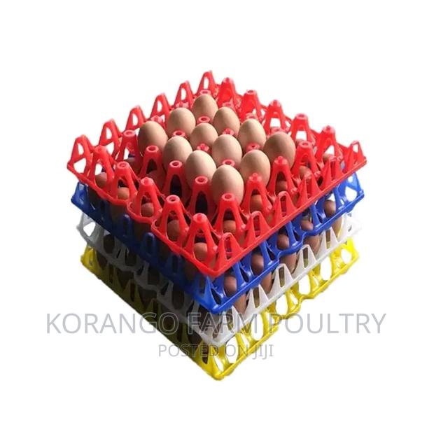 30 Eggs Tray Plastic