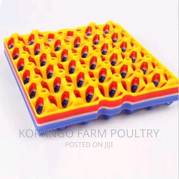 30 Eggs Tray Plastic - thumbnail 2