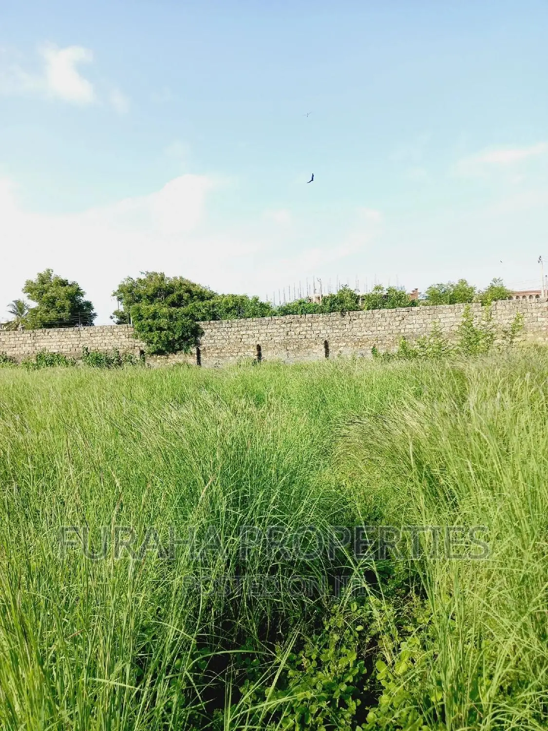 Half Acre Prime Land Nyali.