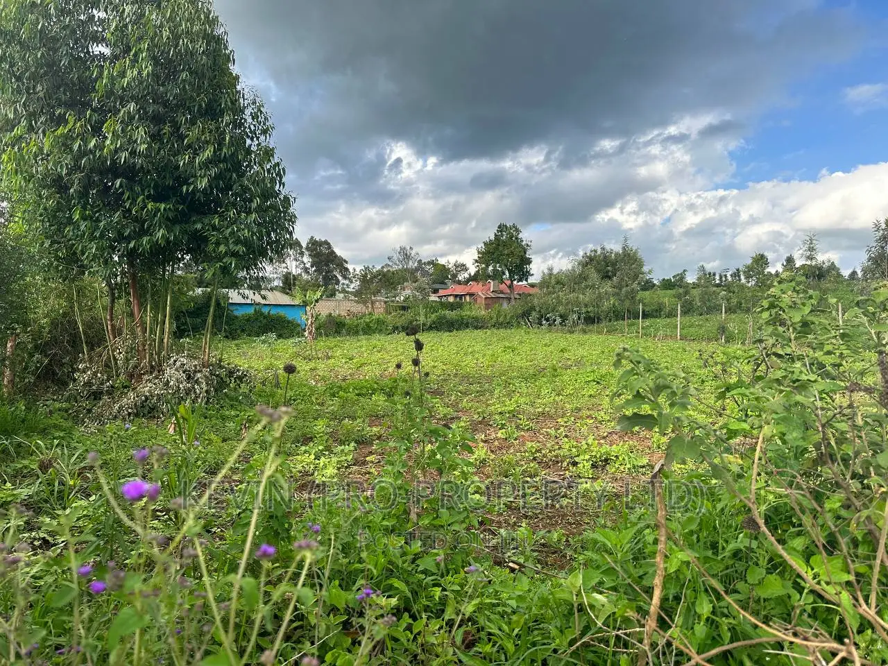 Affordable 1/4 Acre Plot for Sale in Kikuyu-Thigio