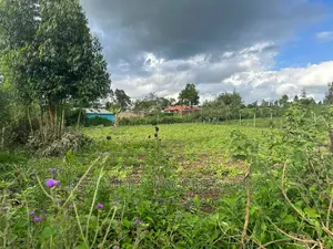 Affordable 1/4 Acre Plot for Sale in Kikuyu-Thigio