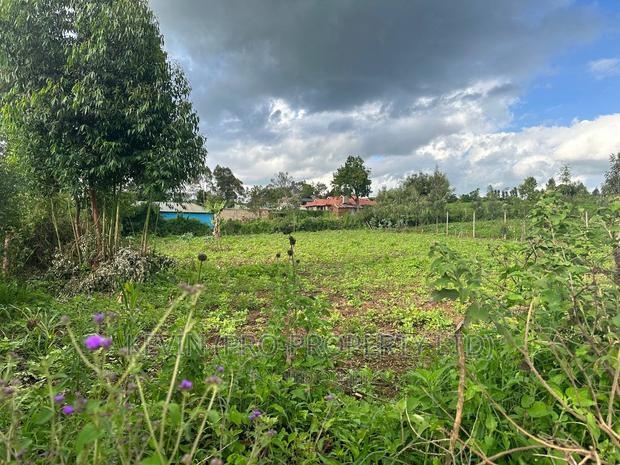 Affordable 1/4 Acre Plot for Sale in Kikuyu-Thigio - thumbnail 3