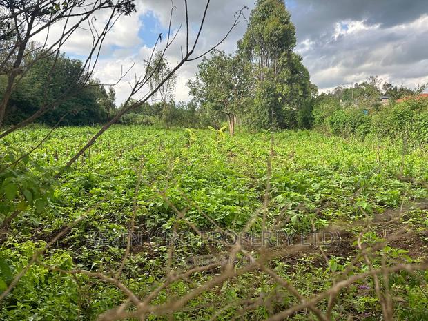 Affordable 1/4 Acre Plot for Sale in Kikuyu-Thigio - thumbnail 4