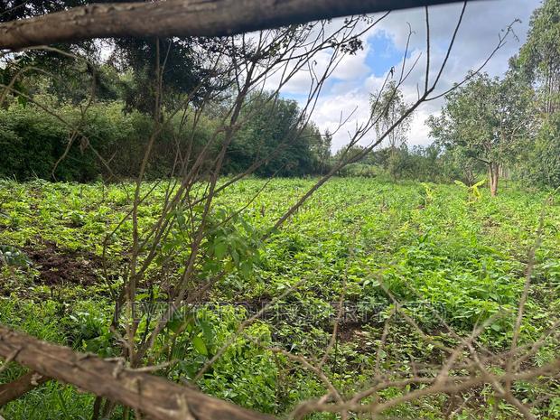 Affordable 1/4 Acre Plot for Sale in Kikuyu-Thigio - thumbnail 5