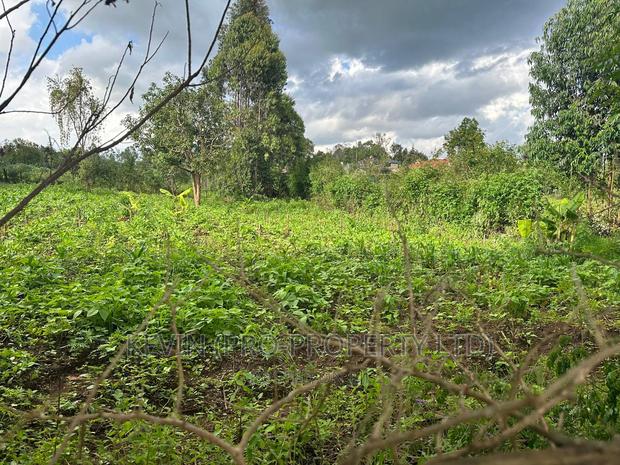Affordable 1/4 Acre Plot for Sale in Kikuyu-Thigio - thumbnail 6