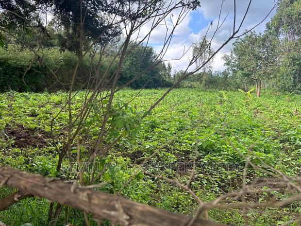 Affordable 1/4 Acre Plot for Sale in Kikuyu-Thigio - thumbnail 7