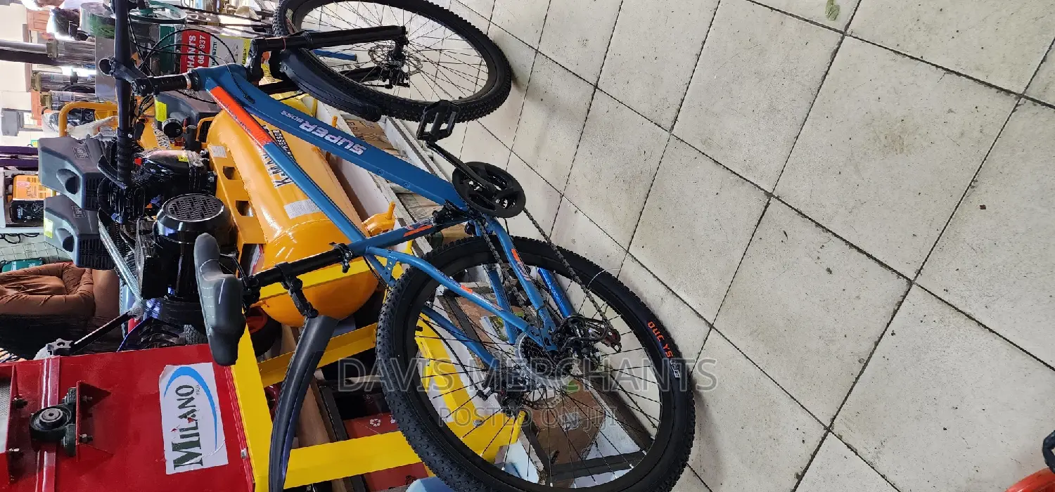 Adult Bicycle