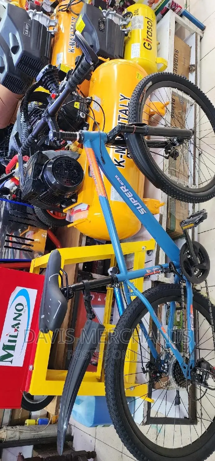 Adult Bicycle