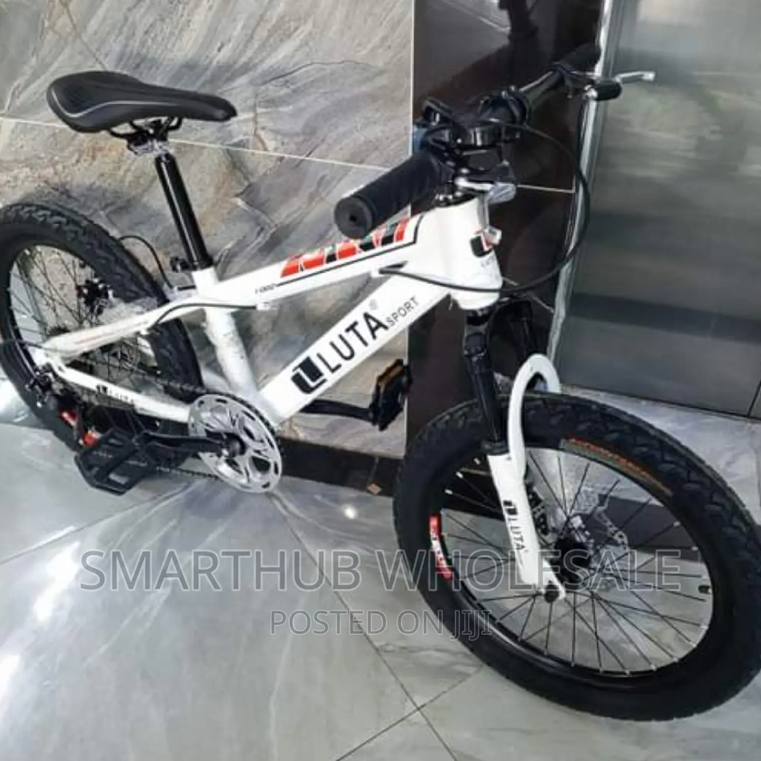 Size 20bike With Gears Luta Bike