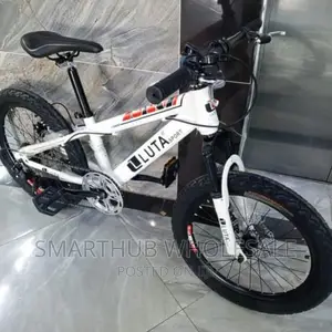 Size 20bike With Gears Luta Bike