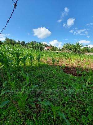 Tigoni 3/4 Acre Residential Plot Selling at Kshs. - thumbnail 2