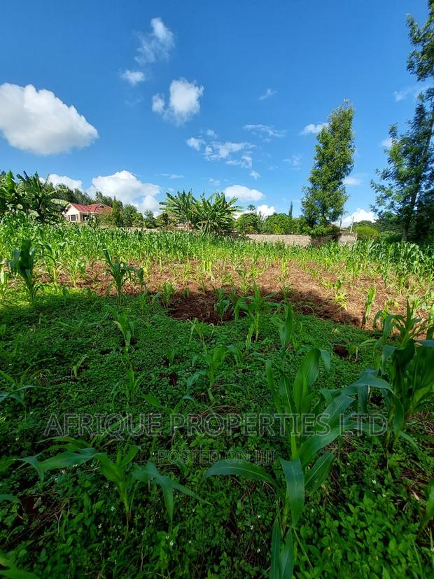 Tigoni 3/4 Acre Residential Plot Selling at Kshs. - thumbnail 3