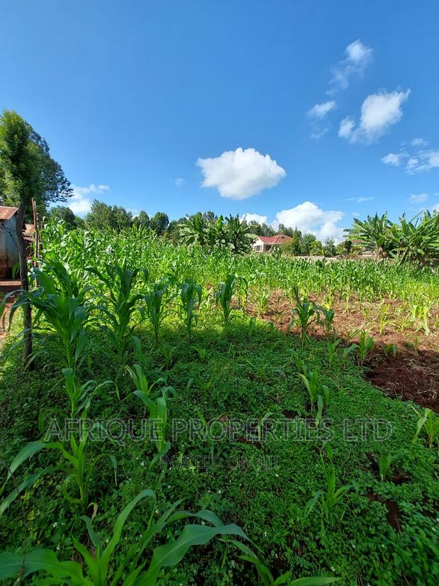 Tigoni 3/4 Acre Residential Plot Selling at Kshs. - thumbnail 4