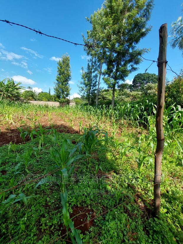 Tigoni 3/4 Acre Residential Plot Selling at Kshs. - thumbnail 5