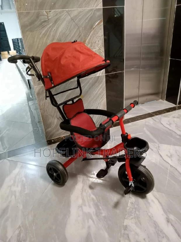 Tricycle With Canopy and Protective Deterchable Handle - main view