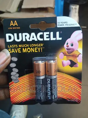 AA Alkaline Batteries