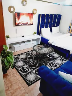 Furnished Apartments South B